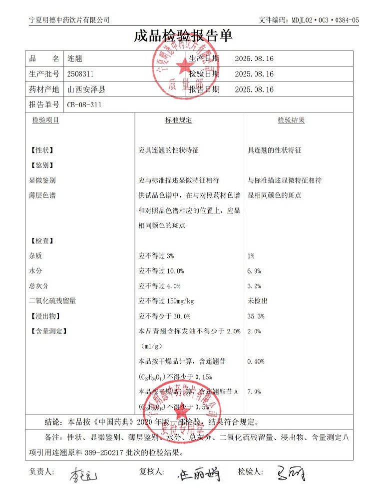 2508311連翹.jpg